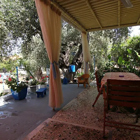 Joanna's House *